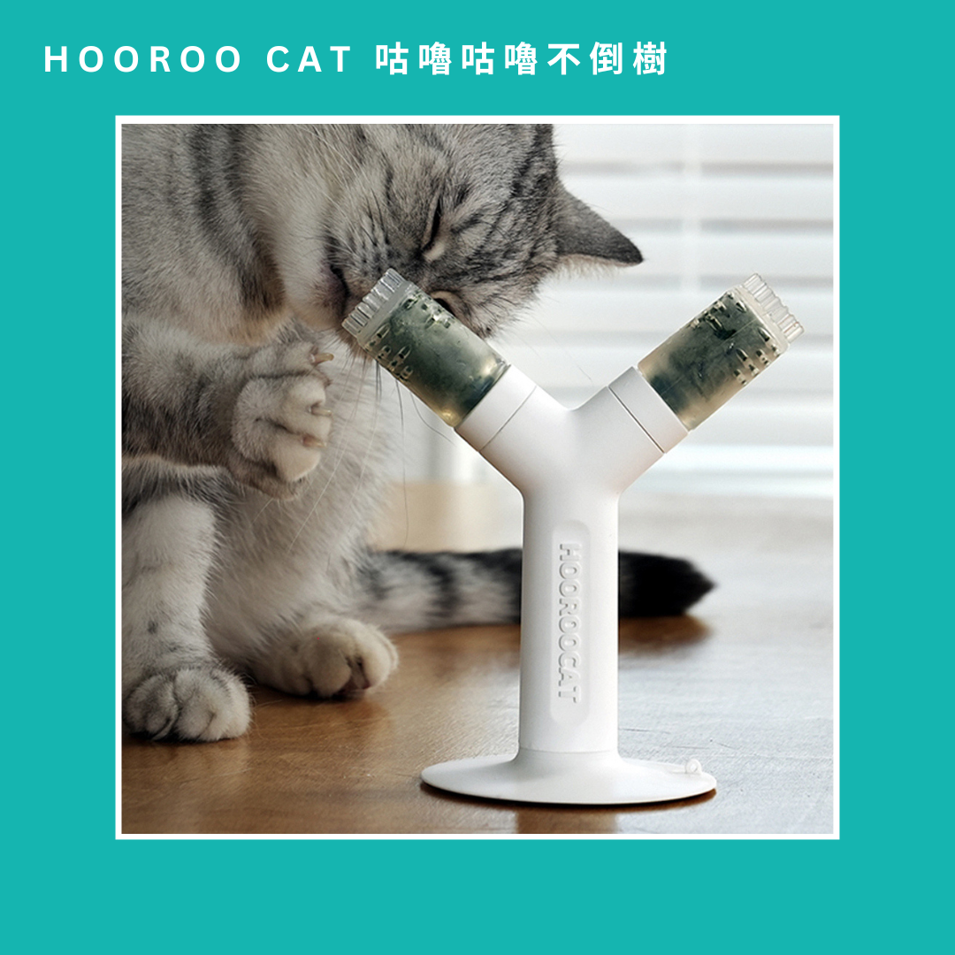 韓國貓草玩具
