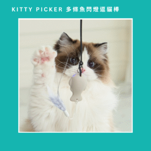Duit Kitty Picker 多條魚閃燈逗貓棒