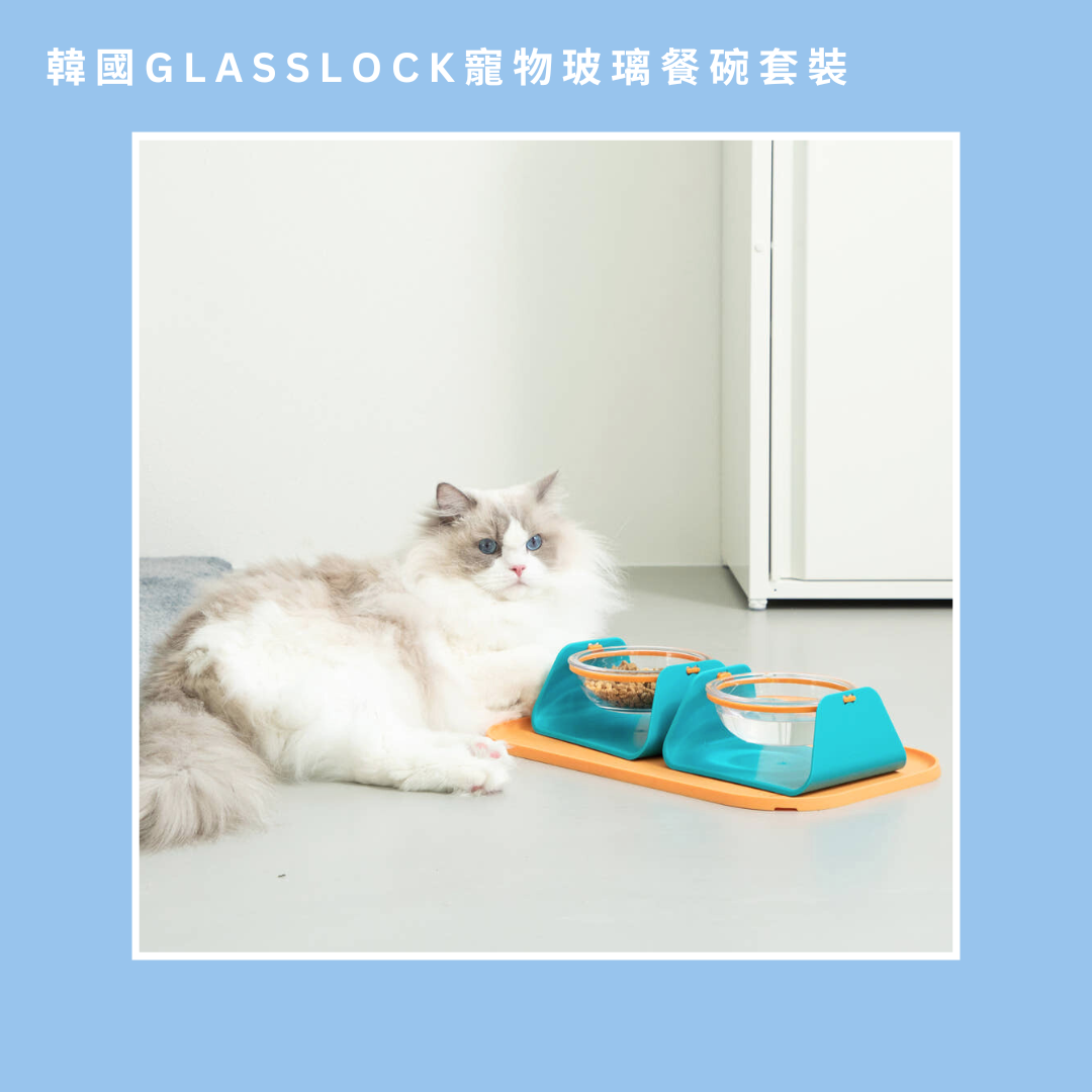 韓國Glasslock寵物玻璃餐碗套裝 | 餐碗x2+餐墊